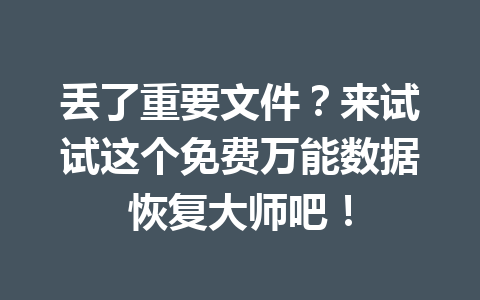 丢了重要文件？来试试这个免费万能数据恢复大师吧！