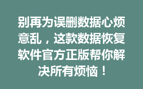 别再为误删数据心烦意乱，这款数据恢复软件官方正版帮你解决所有烦恼！