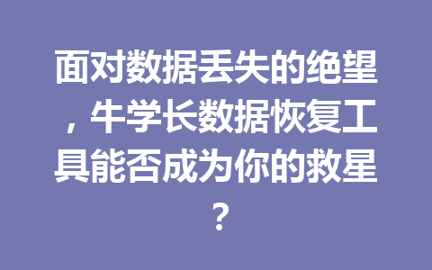面对数据丢失的绝望，牛学长数据恢复工具能否成为你的救星？
