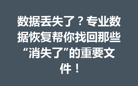 数据丢失了？专业数据恢复帮你找回那些“消失了”的重要文件！